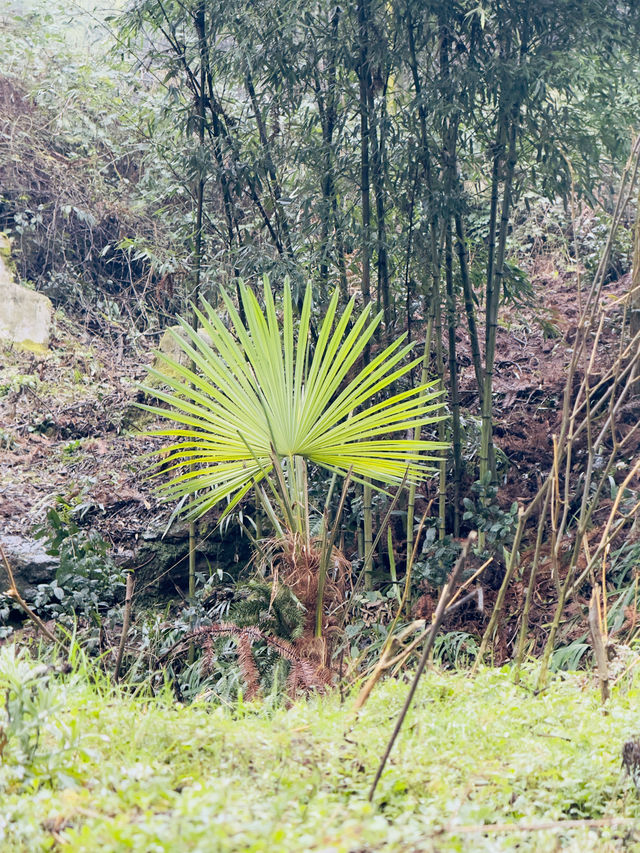 在貴州大山裏徒步 身臨其境的愜意