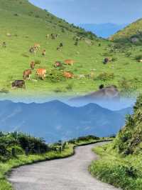 放棄武功山，廣東最適合新手的高山草甸絕了