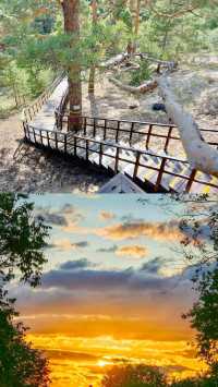 海拉爾公園綠色天堂