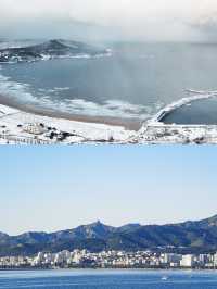 威海｜盛夏藍眼淚VS冬日天鵝雪。