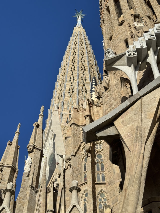 🇪🇸 ✨巴塞隆拿聖家堂玩轉攻略💫