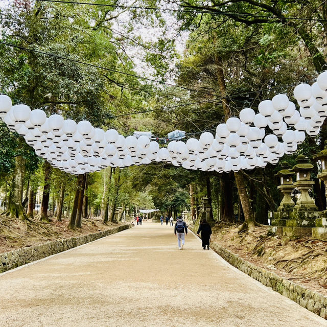 大阪周邊@萬葉植物園