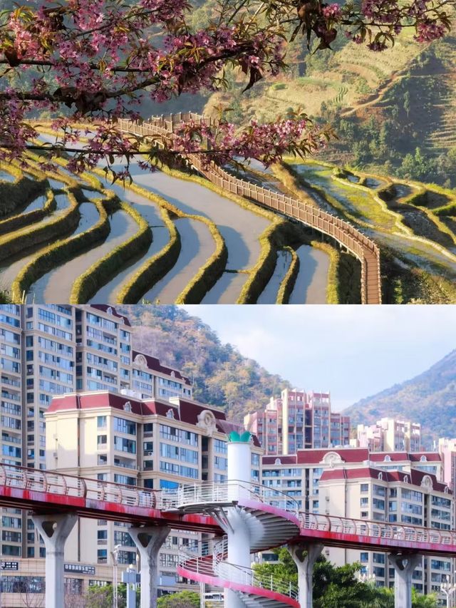 3月的攀枝花，簡直係人間理想。