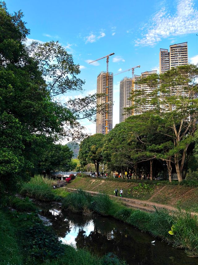 深圳最適合帶小朋友捉魚釣魚的公園