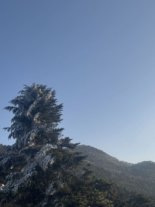 7日深度遊 江西南昌-廬山-婺源 美哭了別怪我