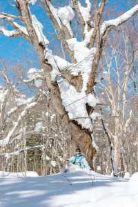 東京近郊｜雪國森林長野兩日遊攻略