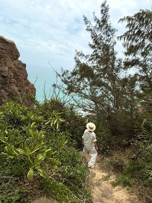 欢迎光临— 环海湾而行之头仔