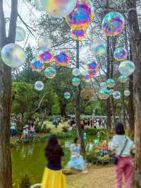 深圳版莫奈花園又有新搞作，打卡一流