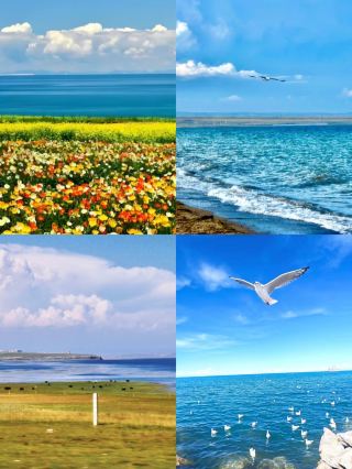 Qinghai Lake Travel Guide Don't Miss Out