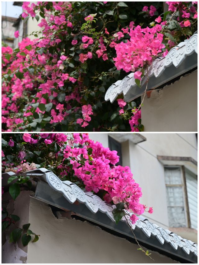 廣東始發站湛江，是赤坎通往大海的浪漫。