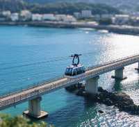 泗川高麗海桑國家公園裡遊山玩水，上天下海