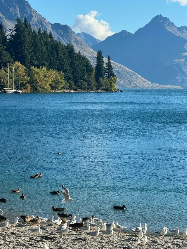 14-Day New Zealand Tour: Perfect for a Short Holiday