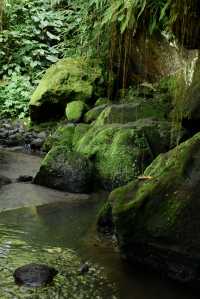峇里島象窟秘境，青苔封印的千年禪房
