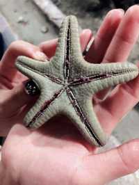 濟州島水族館｜一篇在手，暢遊無憂