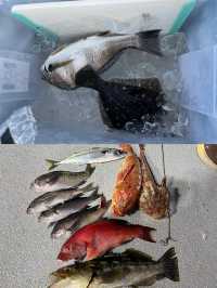 聖地牙哥海釣｜解鎖海釣的極致浪漫