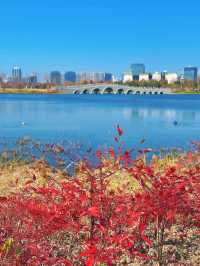 春天是逛公園的好時光～世博文化公園
