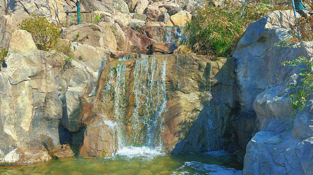 春天是逛公園的好時光～世博文化公園