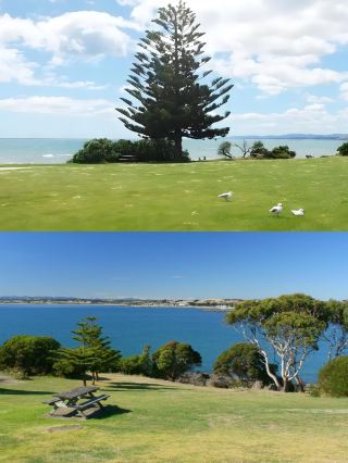 Devonport, Australia Travel Guide: Explore Tasmania's Treasure Town
