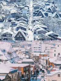 現在的北海道之旅張力拉滿，是時候去看雪啦