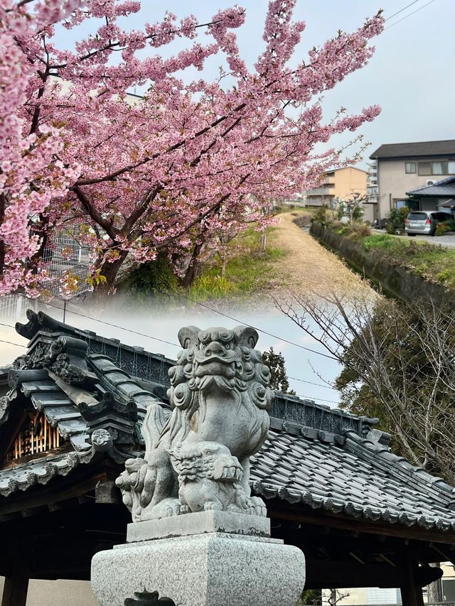 草津市溫泉之旅，解鎖日式治癒系新玩法！