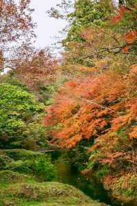日本小眾旅遊神仙景點-鶴仙溪！