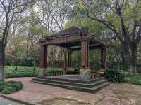 上海吳淞炮台灣國家濕地公園