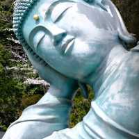福岡南蔵院臥佛櫻花季