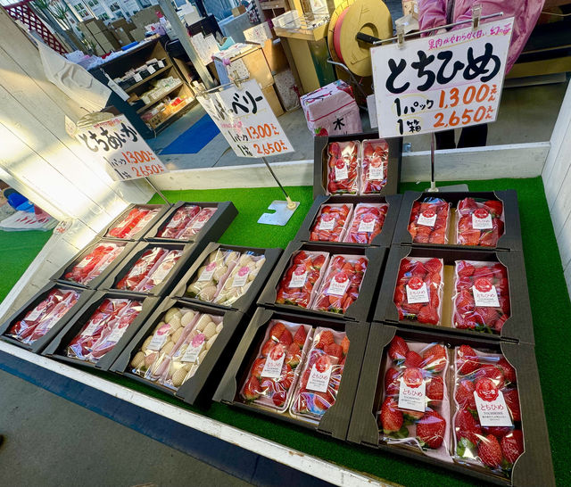日本の魅力的なイチゴ狩り村