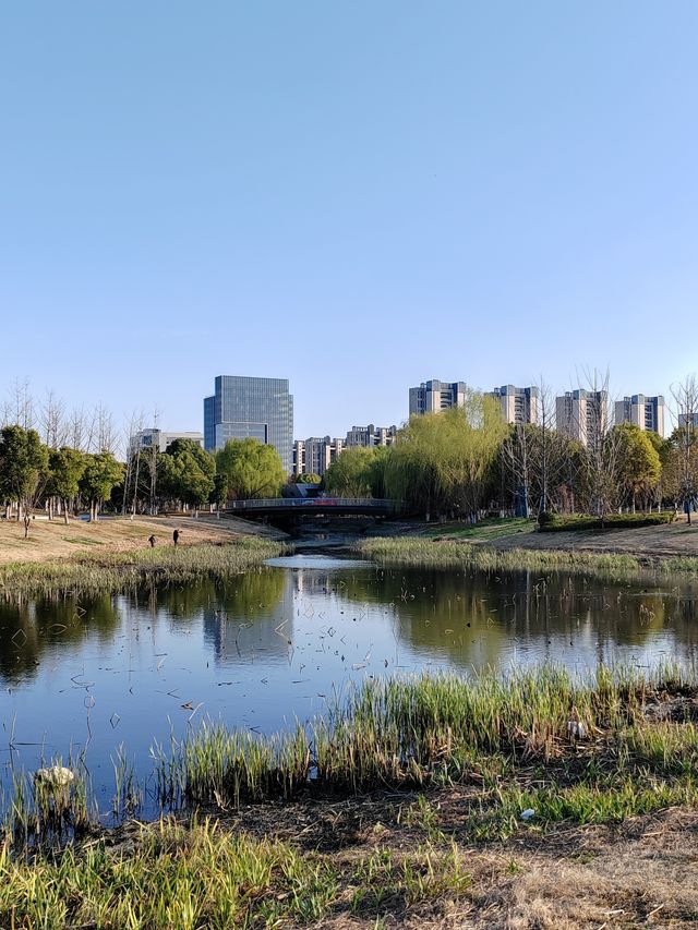 南京城東的「超級綠肺」——麒麟中央公園