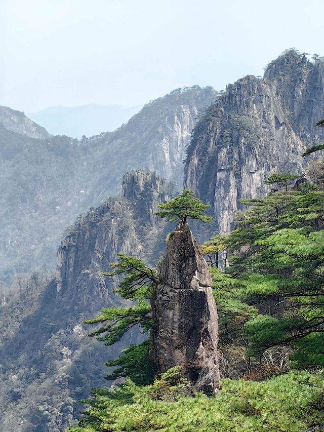 黃山風景區美的有多令人震撼？衝鴨！！！