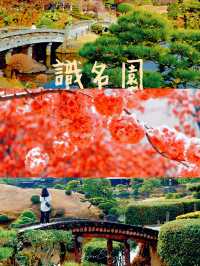 識名園賞櫻攻略：在歷史遺跡中漫步粉色花海
