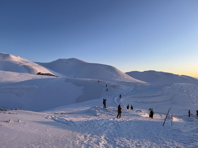 立山黑部：從暴風雪到晴空萬里的奇妙旅程