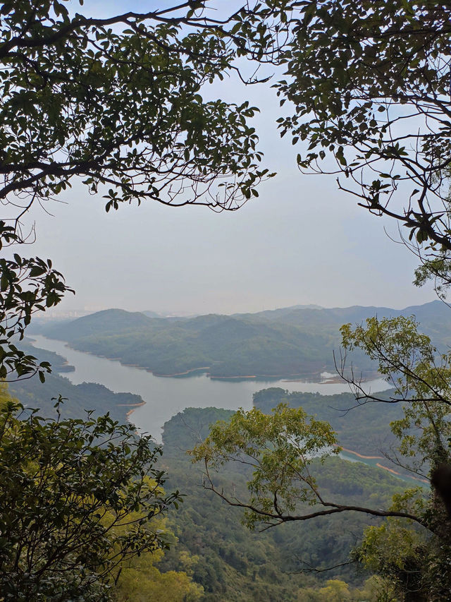 🌄中山獅頭山，徒步天堂！