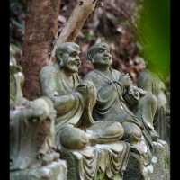 🐸【福岡清影山如意輪寺｜被一萬隻蛙蛙包圍的開運奇旅！】