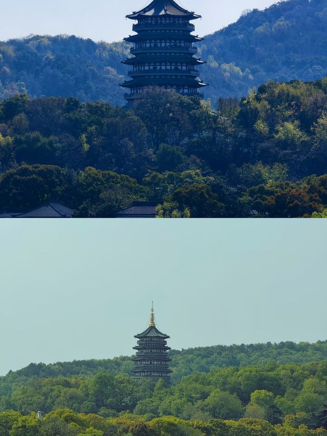 剛從杭州回來說一些難聽的實話