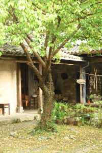 安徽碧山村民宿 | 皖南初秋入住過的鄉村民宿