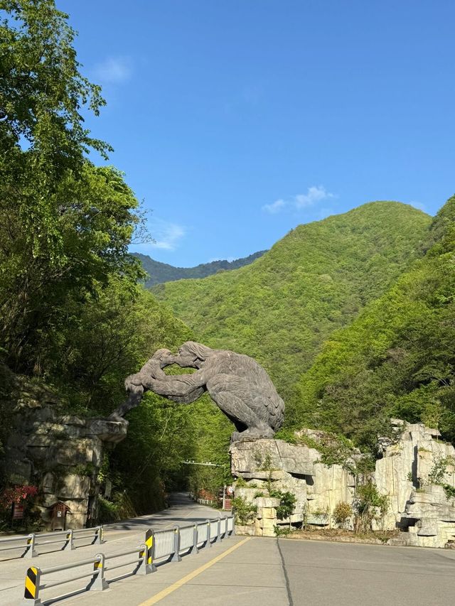 湖北神農架｜在「華中屋脊」追野人蹤跡