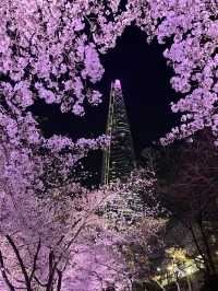 🌸首爾石村湖，夜櫻絕美之境