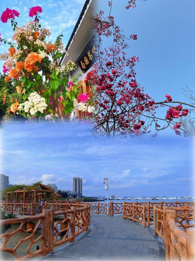 和爸媽鎖死湛江！3天2夜把春天搬進相冊！