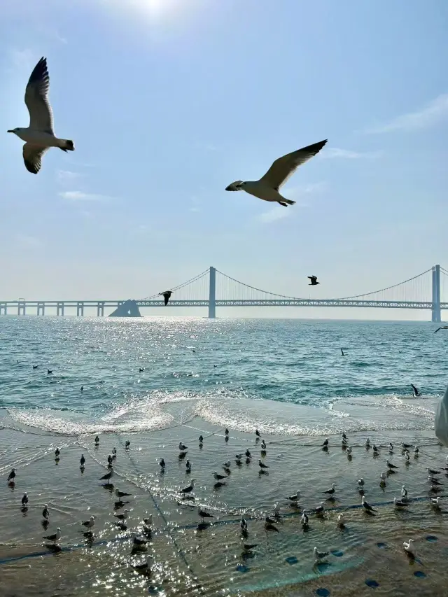 How to enjoy the Labor Day holiday at Xinghai Square? This guide will tell you!