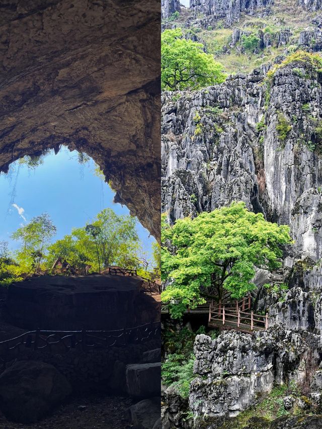 國家地理冇呃我！宜賓呢個世界地質公園正到爆！