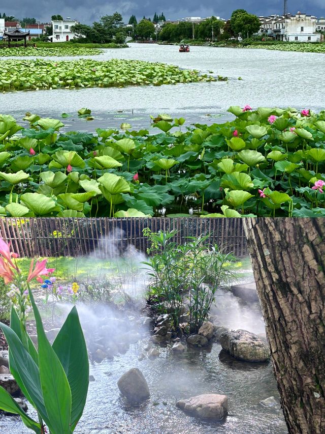 蕪湖心動擊，呢個寶藏城市終於藏唔住喇