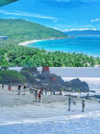 《三亞嘅浪漫，椰林一部分落日、東北人一部分！》