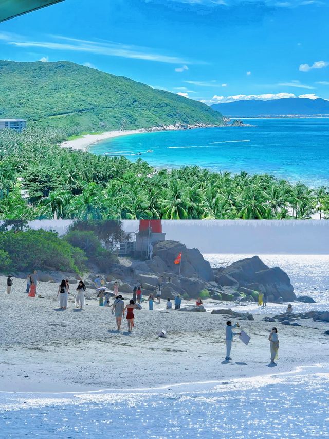 《三亞嘅浪漫，椰林一部分落日、東北人一部分！》