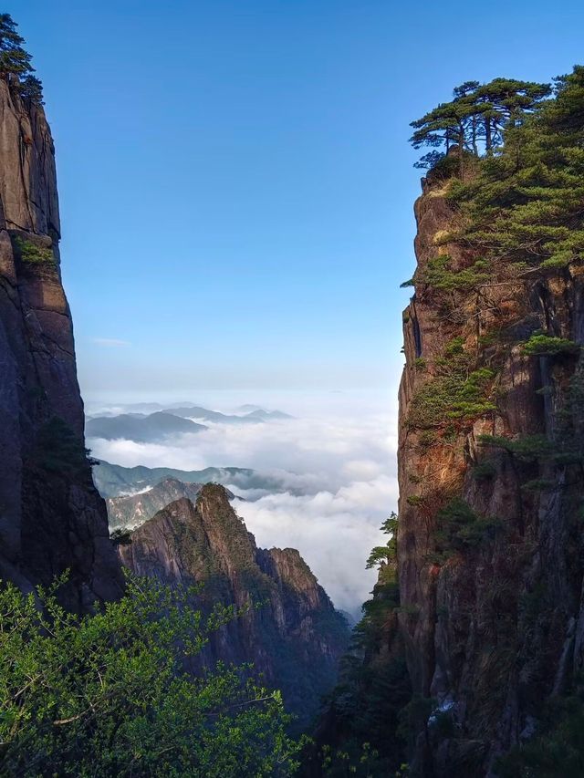 黃山