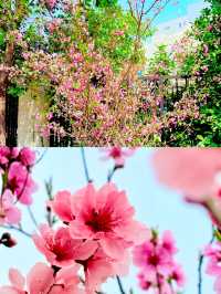 三江口生態公園，遺失的美好