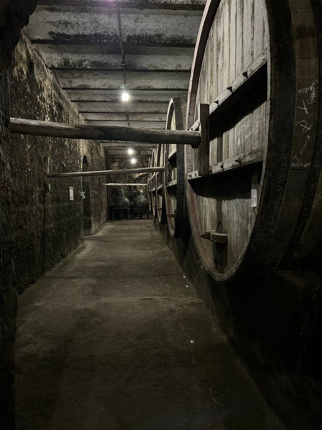 誰說美酒與美景不能兼得？
🍷紅酒迷必衝！亞美尼亞酒莊探秘之旅，解鎖味蕾新世界