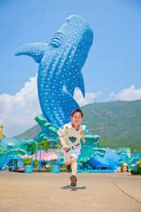 珠海長隆跟拍只要100幾蚊誒嘛～真香附攻略