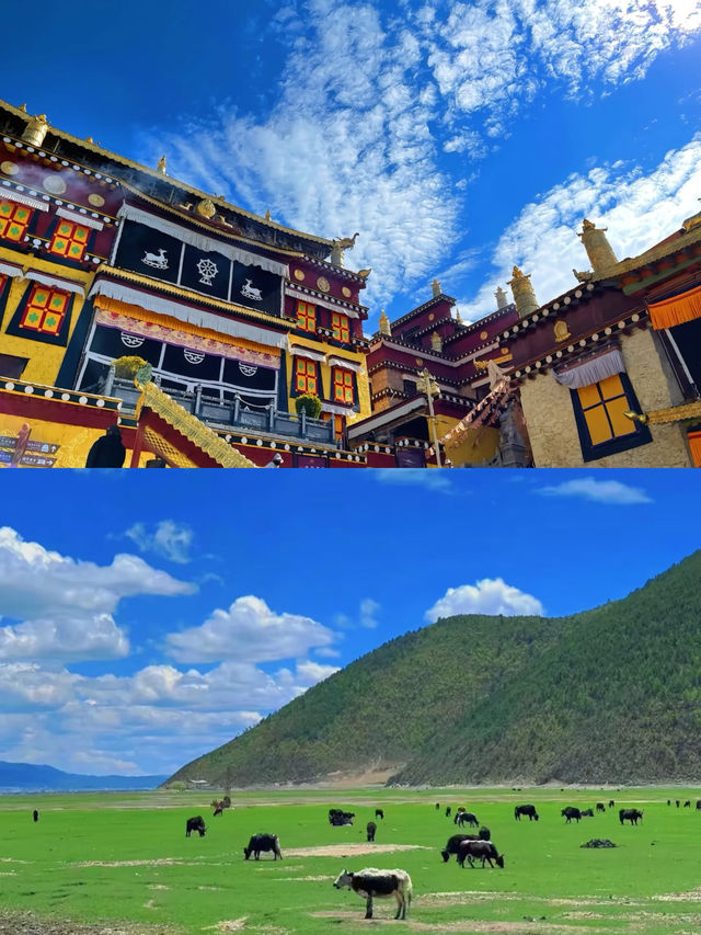 見山見佛見世界
