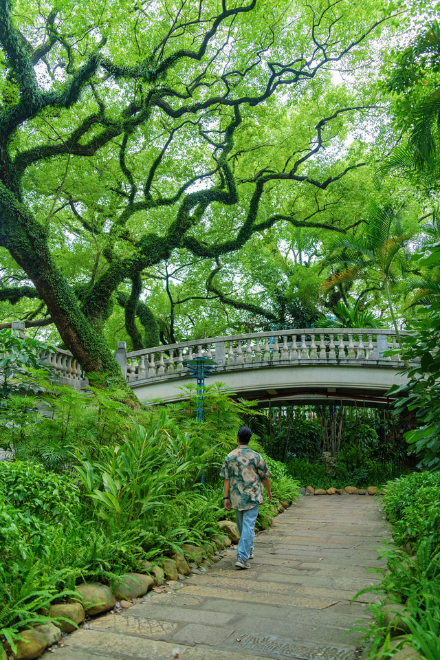 佛山真係好chill…願意去一萬次嘅生命力公園